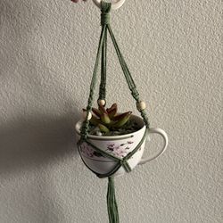 Macrame plant hanger