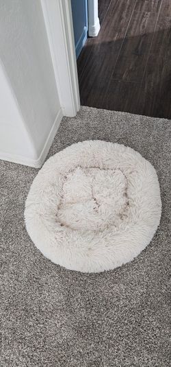 Cat/small Dog Bed