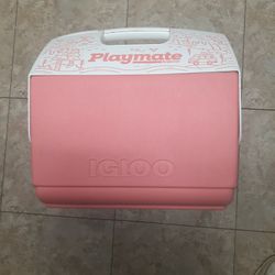 16 QT.  Igloo Playmate