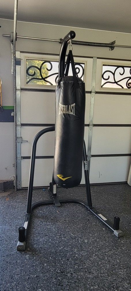 Everlast Punching Bag With Stand