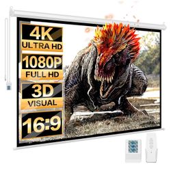 Projector screen Drop Down