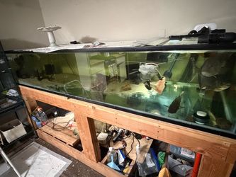 Fish Tank