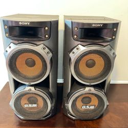 Sony SS-ZX66i 2.0 Channel Wired Standing Speakers Pair 6 Ohm Black