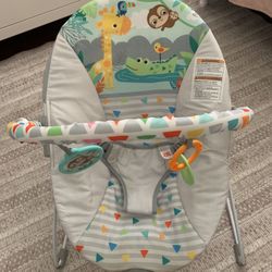 Baby Bouncer