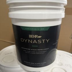 Behr Dynatsy White Paint