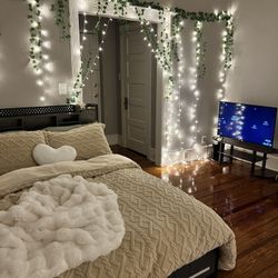 Queen Size LED Bed Frame With Storage 