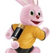 PROCELL D sz. BATTERIES 