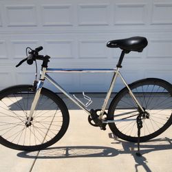 Men's Chrome Bike 