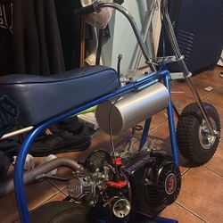 gts mini bike
