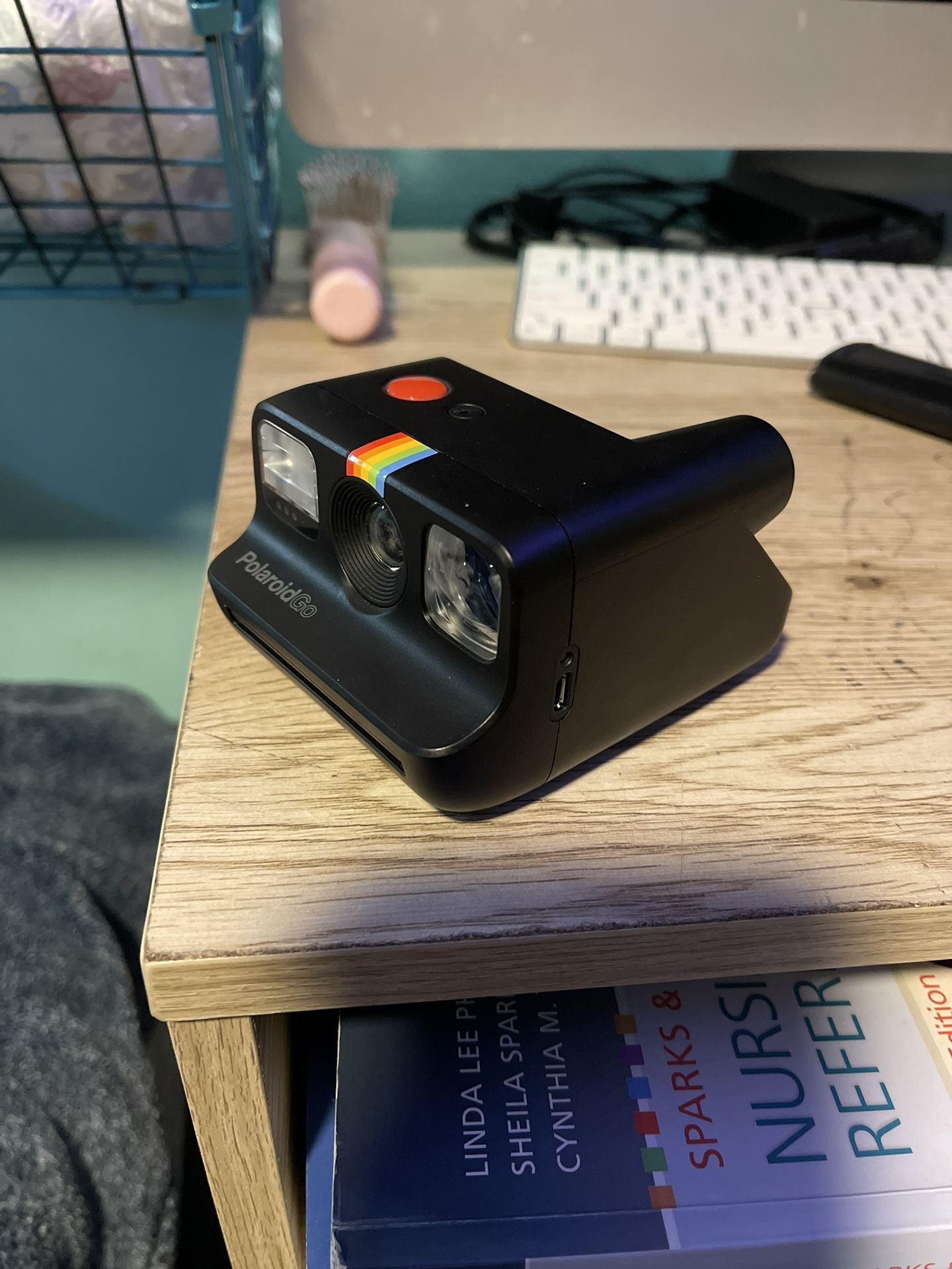Polaroid Go