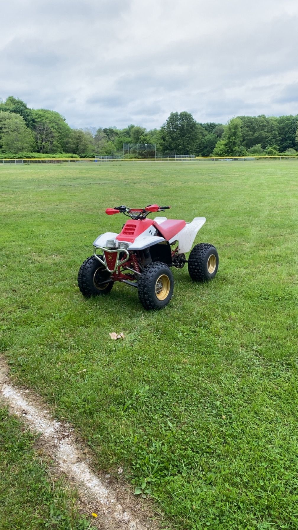 1991 Yamaha Warrior 350