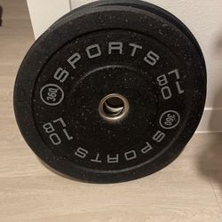 10 Lb Plates