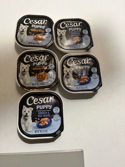 Cat Iams