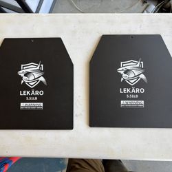 Weighted Plates