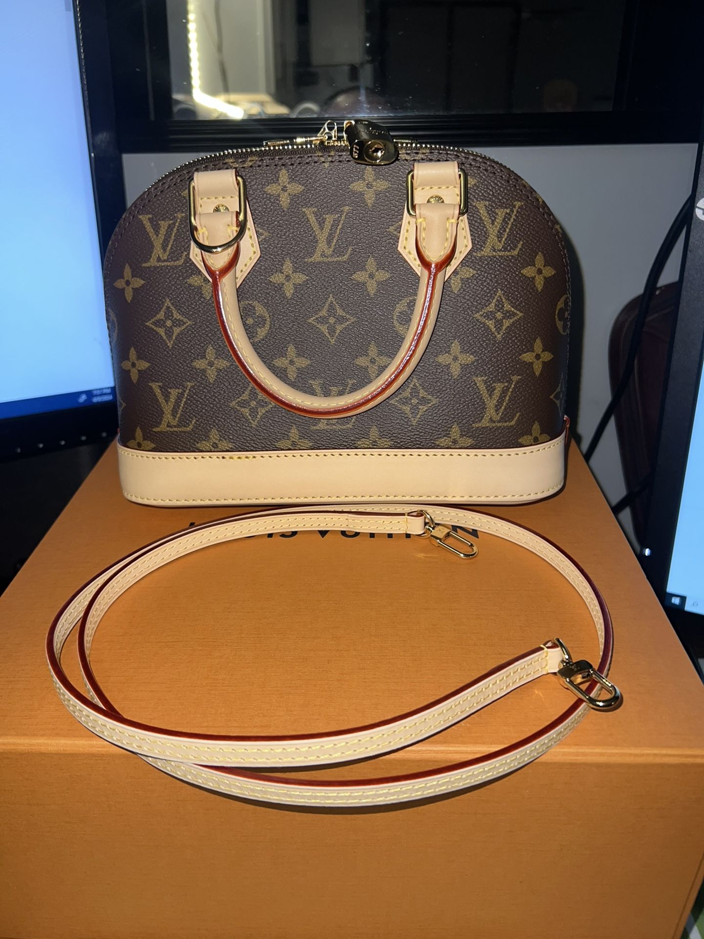 LV Bag 