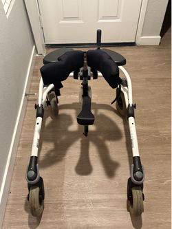 Special needs walker