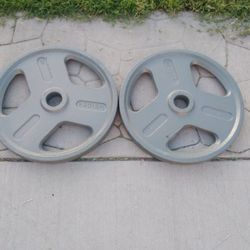 45lbs Olympic Weights 