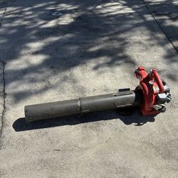 Leaf blower FREE
