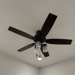 2 hunter Ceiling Fan With Light and Pull Chain Included 5 -Blade