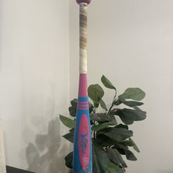 Baseball Bat
