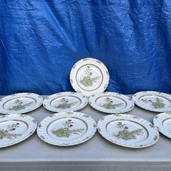 Copeland Spode Plates 