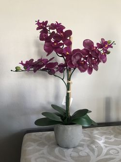 Orchid plant (faux)