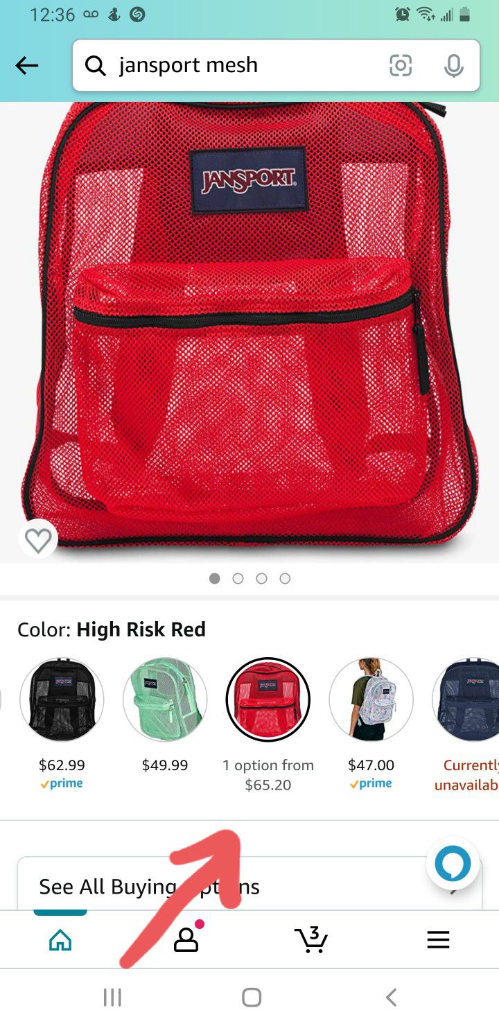 Jansport Mesh Pack (Backpack)