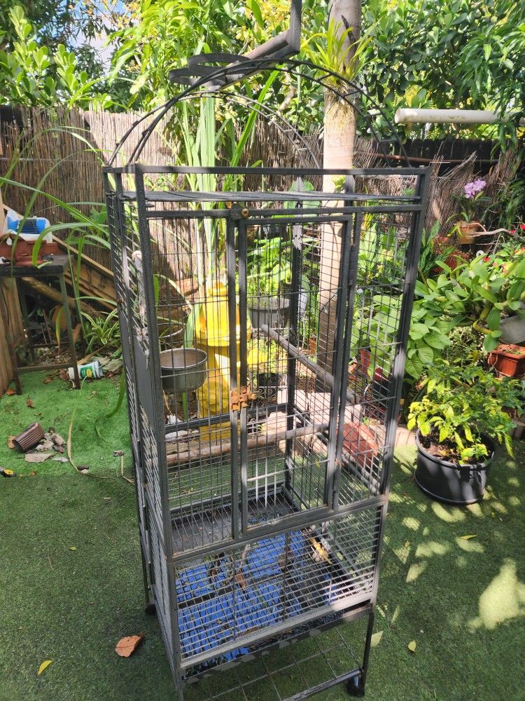 Bird Cage