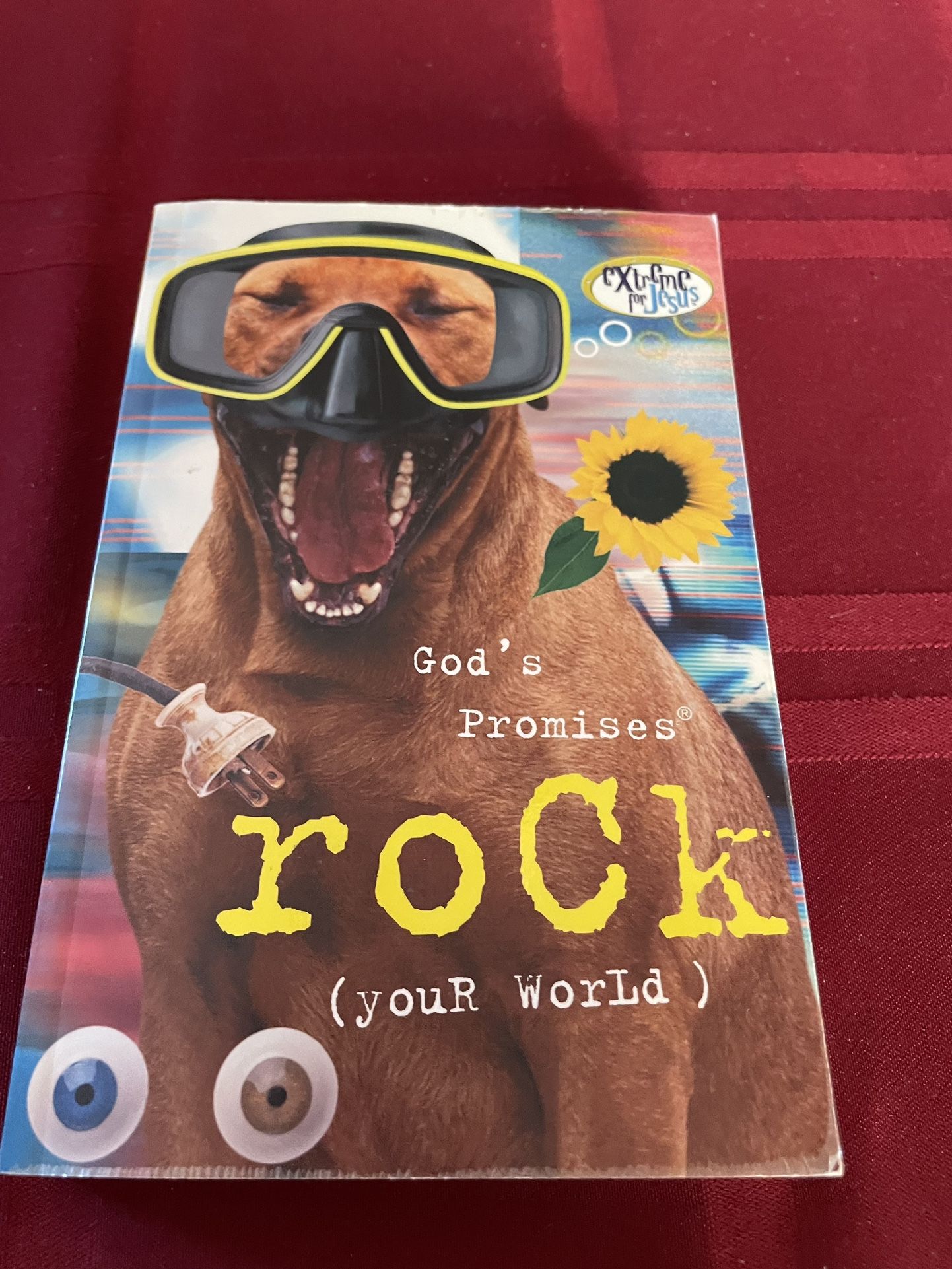 God’s Promises Rock (your world)