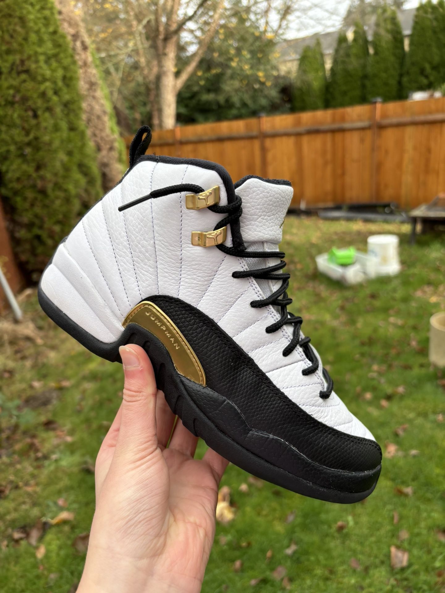 Jordan 12 Taxi