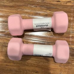 Pink 5lbs Dumbbells 
