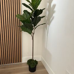 Faux Indoor Plant 