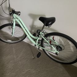 Beach Cruiser/ Adult