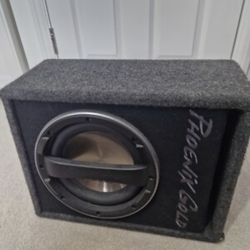 Phonix Gold Subwoofer Build In Amp 