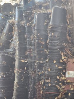 1 Gallon Pots BIG SALE USED!!