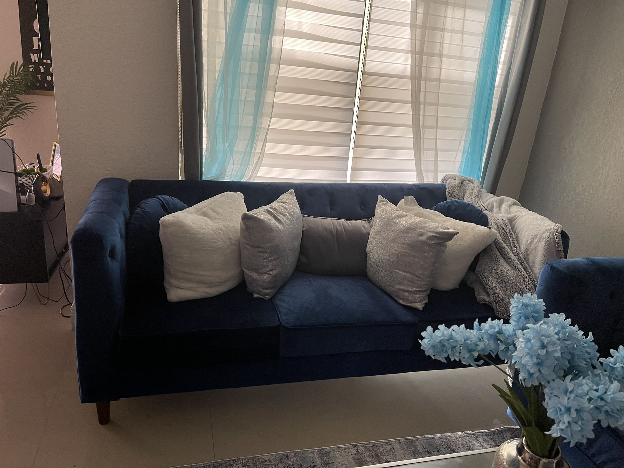 Velvet Blue Sofa & Love Seat (Living room Set) Couch