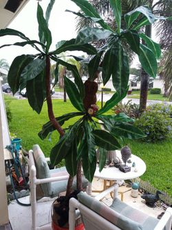 Fake tree