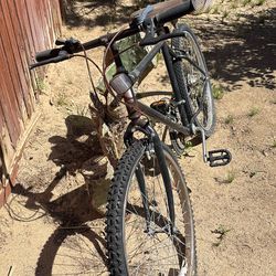 Mountain Bike