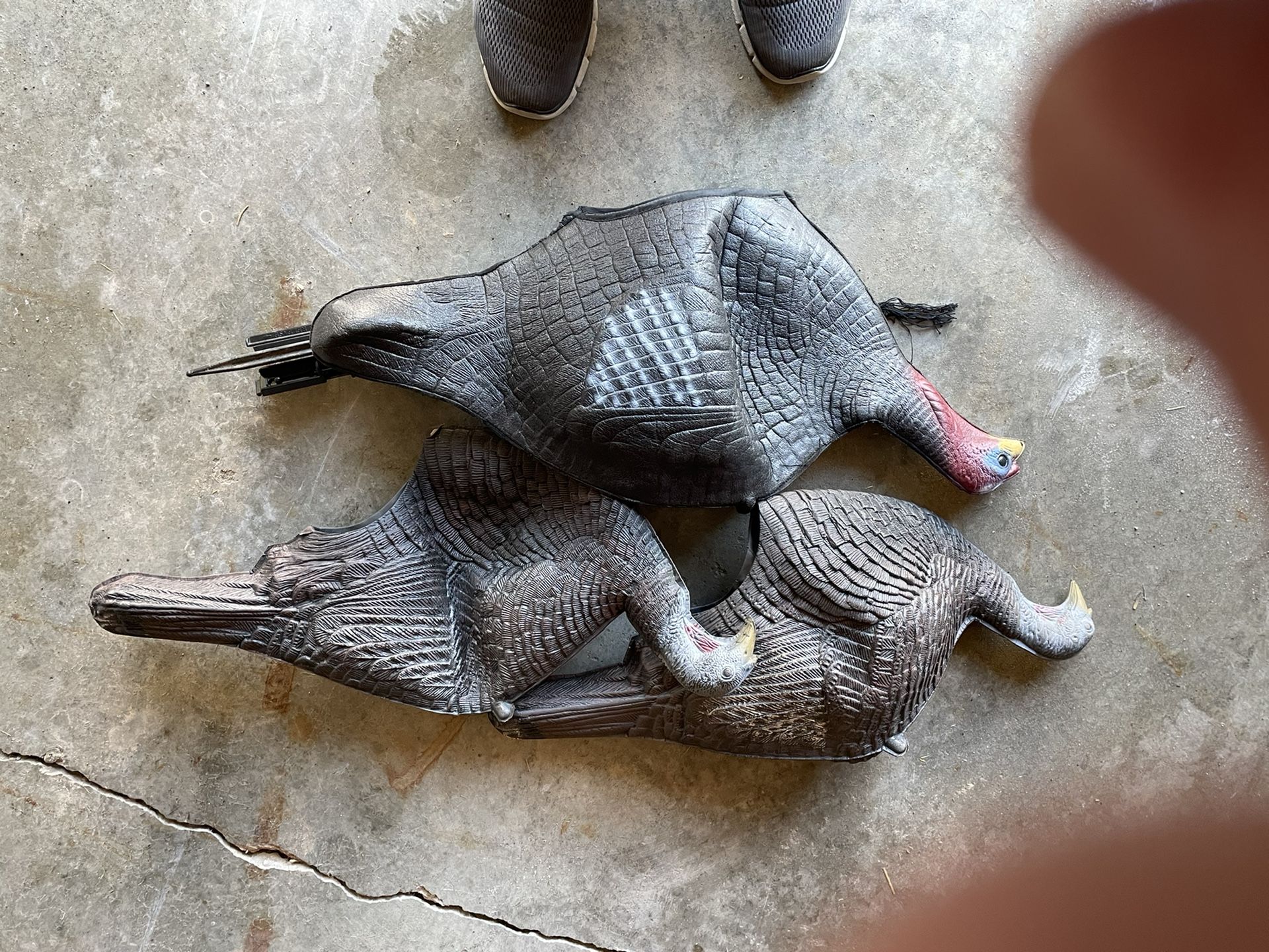 Foam Decoys One Tom Two Hens With Stakes