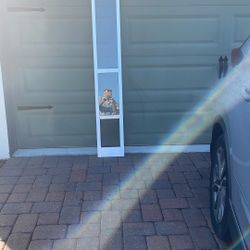 Pet Patio Door