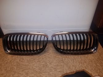BMW front grill