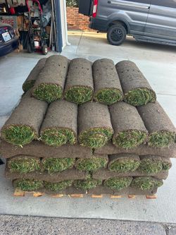 Fresh sod / free delivery
