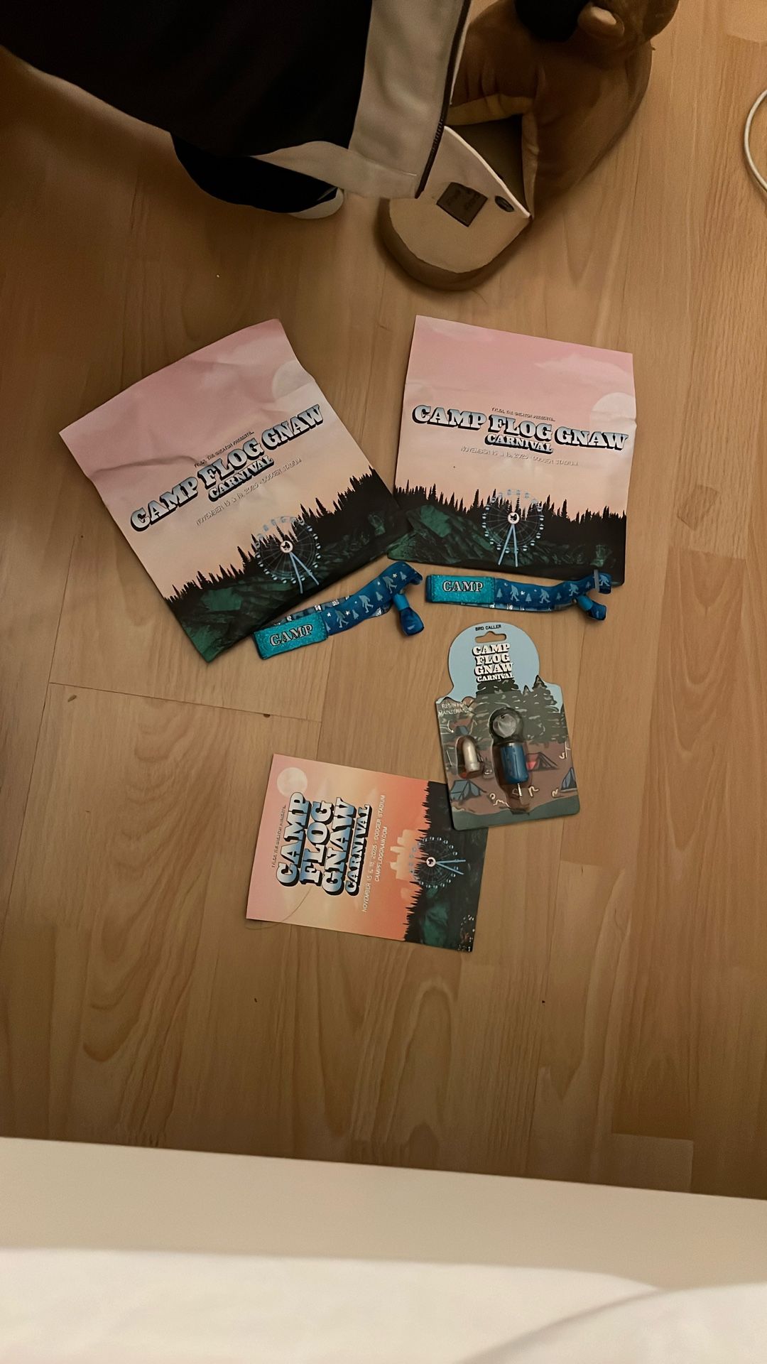 2025 Camp Flog Gnaw GA 2 tickets