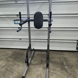 Power Tower Dip Station Pull Ups 