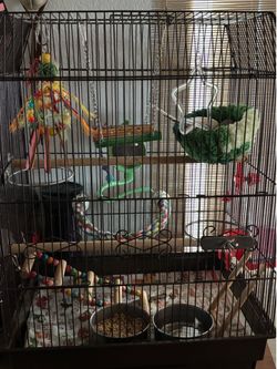 Jaula/cage