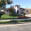 nely lawn care