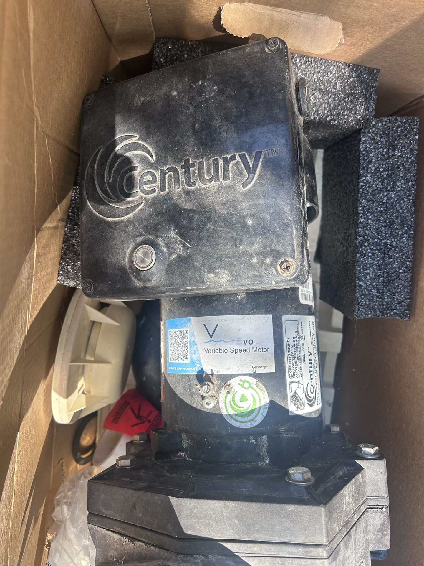 Pool Motor And Vacuum