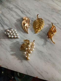 5 Broaches for females.