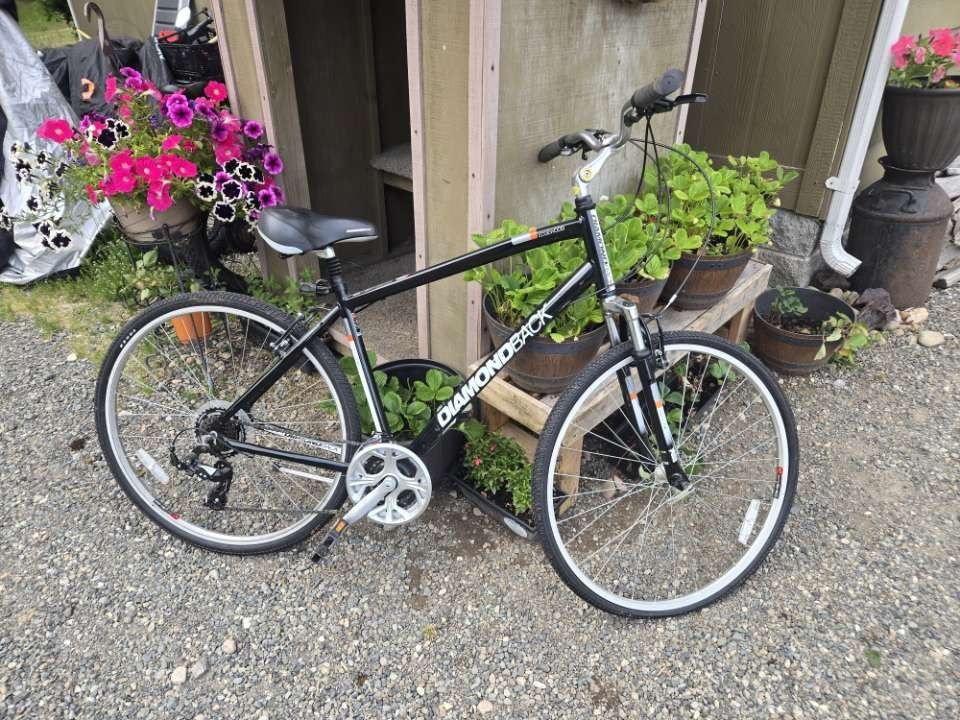 Diamond Back Mountain Bike