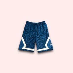 Air Jordan jump man shorts blue Size Large 12-13 Years Old
